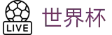 2026FIFA世界杯（中国）官方授权网站 - 官方中文认证